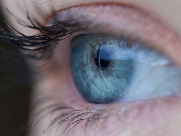 Retina Hastalıkları ve Vitrektomi